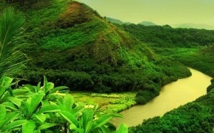 paysage