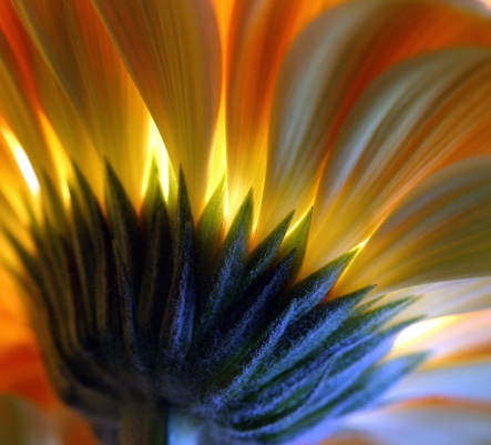 flamme