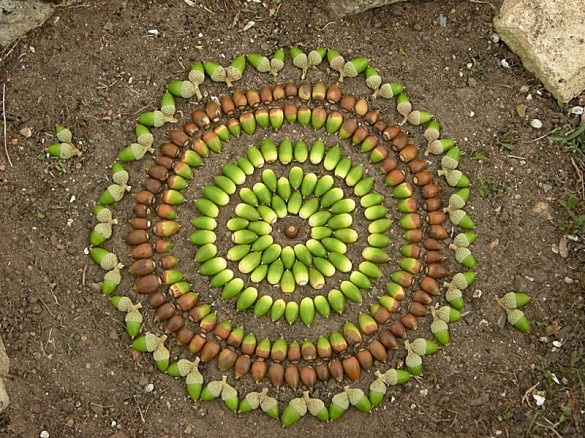 Seed Mandala