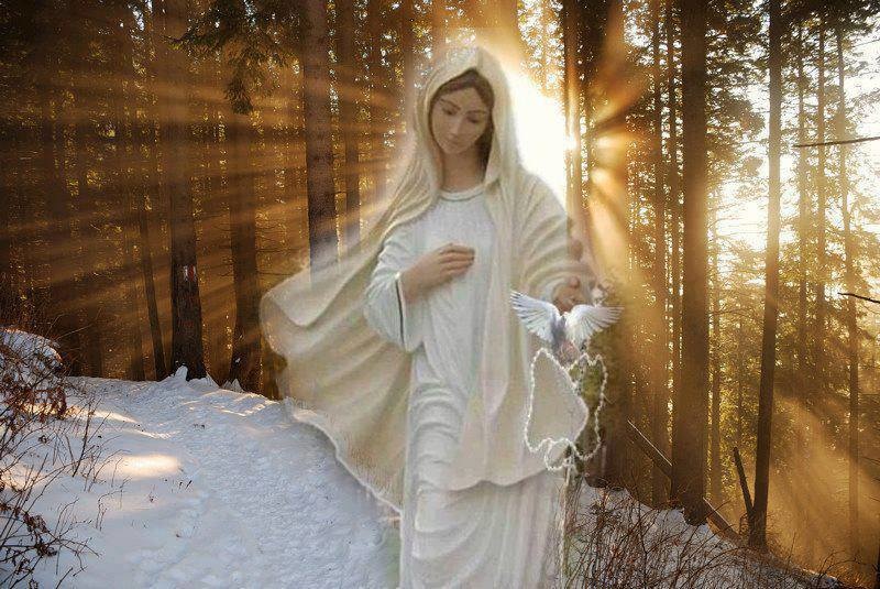 cid_ada90a93-4ae2-4b85-ad42-d0442535af9d