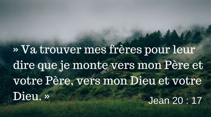 « Va trouver mes frères pour leur dire que je monte vers mon Père et votre Père. »