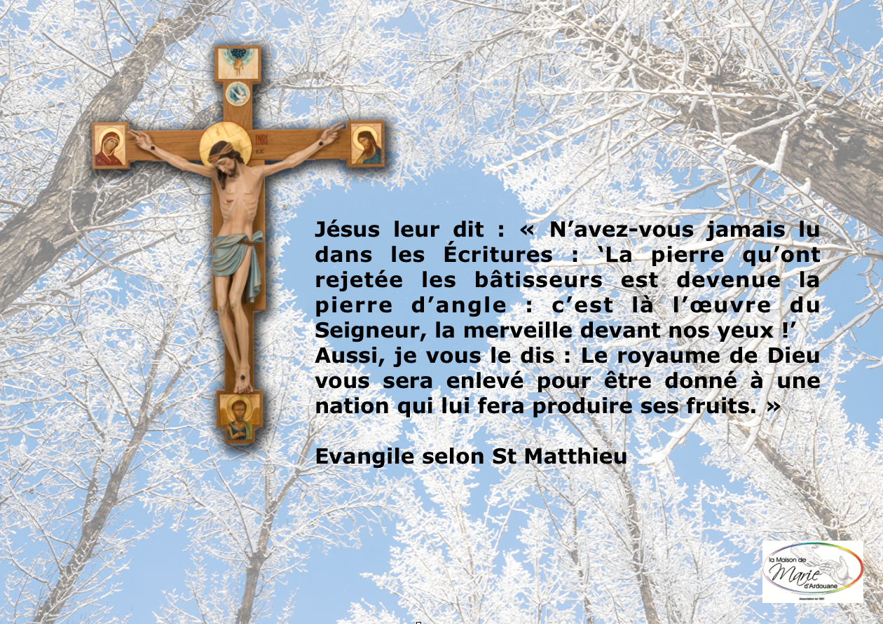 « Je suis la vraie vigne. » (Jn 15,1)