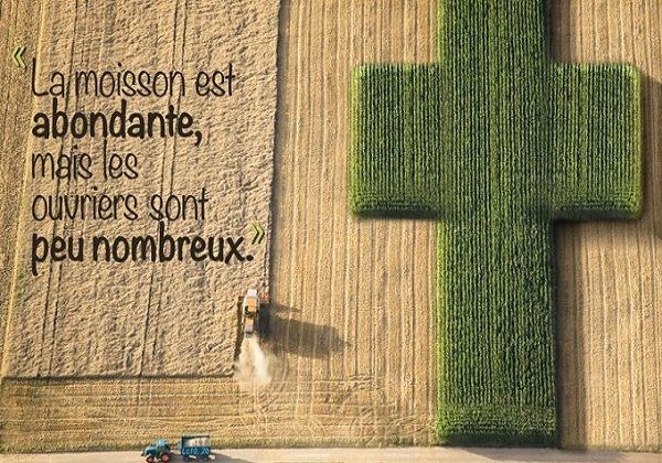 « La moisson est abondante. »